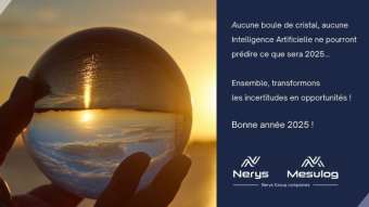 L'équipe Nerys Group vous souhaite une bonne année